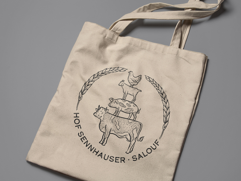 Hof Sennhauser Salouf